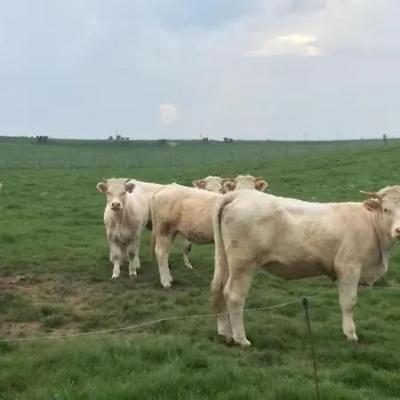 Charmante Maison Au Calme Proche De La Le Bourg-Dun