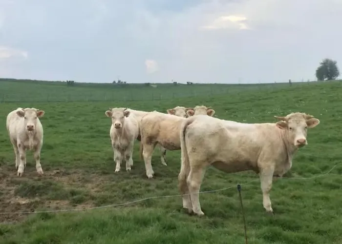 Charmante Maison Au Calme Proche De La Le Bourg-Dun